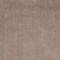 Homeroots 27 x 45 in. Polyester Beige Area Rug 353420 - alternate 6